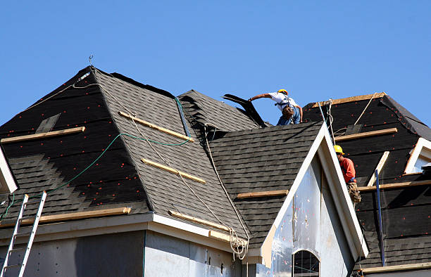 Best Metal Roofing Contractor  in Ofallon, IL