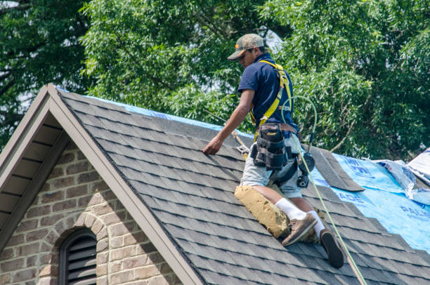 Tile Roofing Contractor in Ofallon, IL